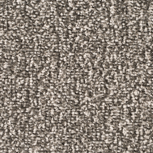Tweed Carpet - Revolution 4