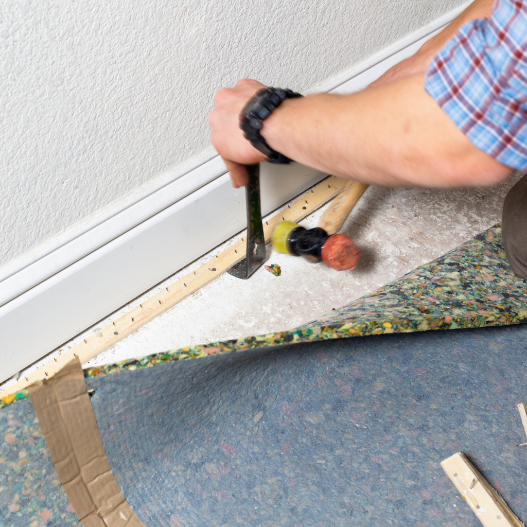 how often should you replace carpet​1