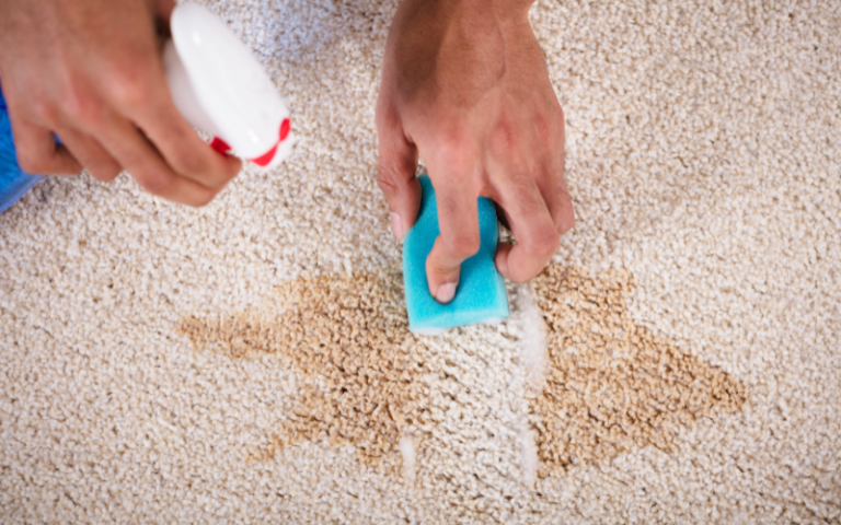 How to Get Stains Out of Carpet: Easy Removal Tips