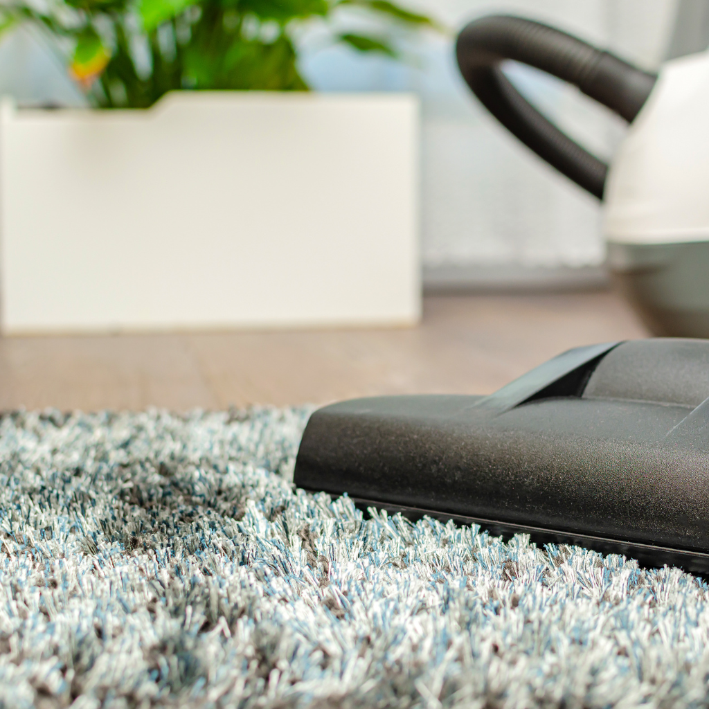 twist pile vs loop pile carpet