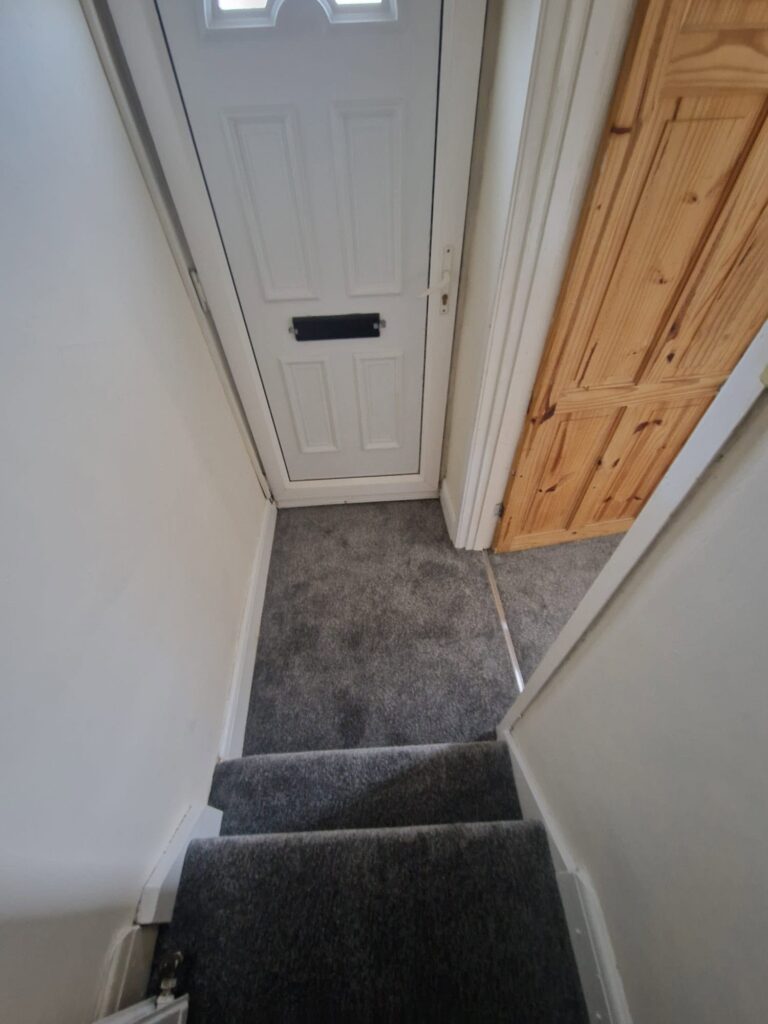 Complete Home Flooring Transformation with Luxury Vinyl Flooring and Grey Carpet 6 722408521 1443346934500080 765617437068084648 n