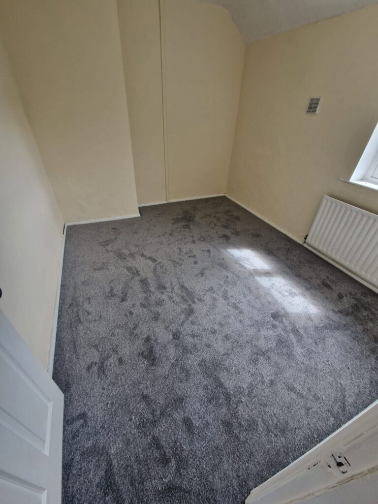 Complete Home Flooring Transformation with Luxury Vinyl Flooring and Grey Carpet 13 722768371 1443346714500102 2277229294823147723 n